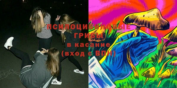 винт Баксан