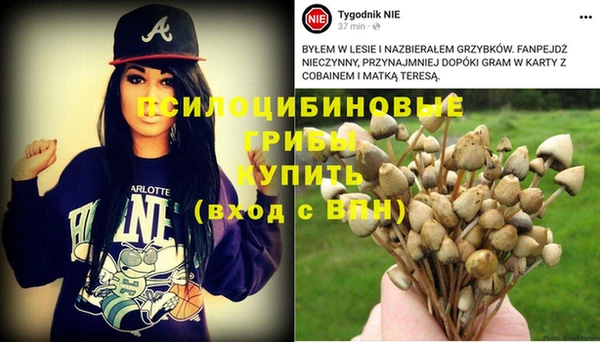 винт Баксан
