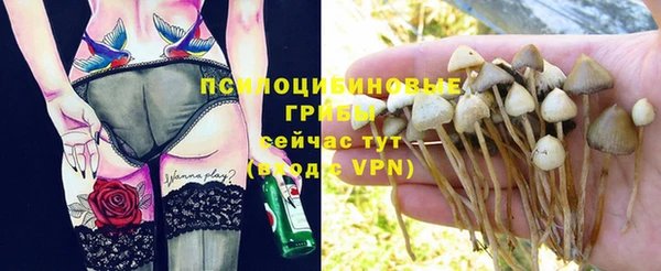 mdpv Балахна